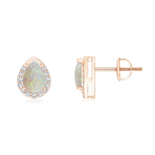 6x4mm AAA Pear-Shaped Opal Stud Earrings with Diamond Halo in 9K Rose Gold