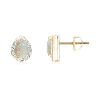 6x4mm AAA Pear-Shaped Opal Stud Earrings with Diamond Halo in Yellow Gold