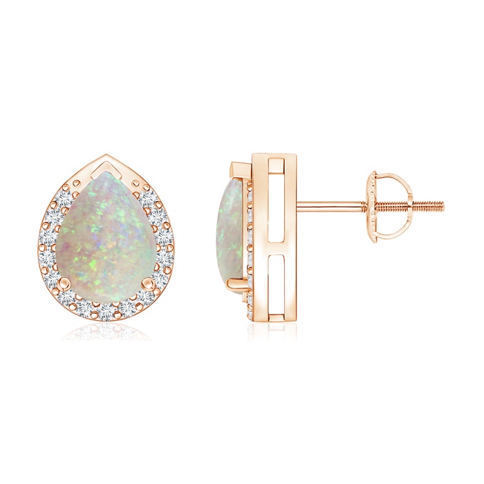 8x6mm AAA Pear-Shaped Opal Stud Earrings with Diamond Halo in Rose Gold 