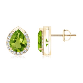 8x6mm AAAA Pear-Shaped Peridot Stud Earrings with Diamond Halo in Yellow Gold