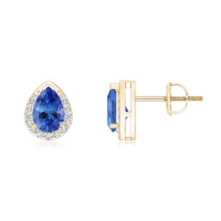 6x4mm AA Pear-Shaped Tanzanite Stud Earrings with Diamond Halo in Yellow Gold