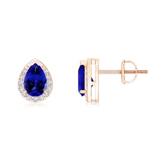 6x4mm AAAA Pear-Shaped Tanzanite Stud Earrings with Diamond Halo in 10K Rose Gold