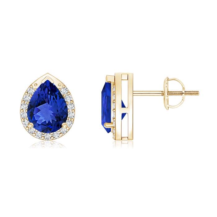 7x5mm AAA Pear-Shaped Tanzanite Stud Earrings with Diamond Halo in Yellow Gold