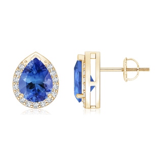 8x6mm AA Pear-Shaped Tanzanite Stud Earrings with Diamond Halo in Yellow Gold