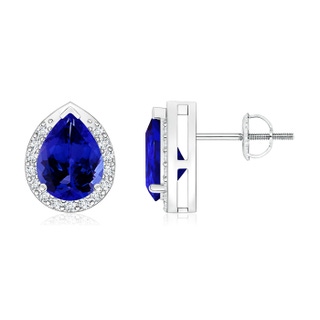 8x6mm AAAA Pear-Shaped Tanzanite Stud Earrings with Diamond Halo in P950 Platinum