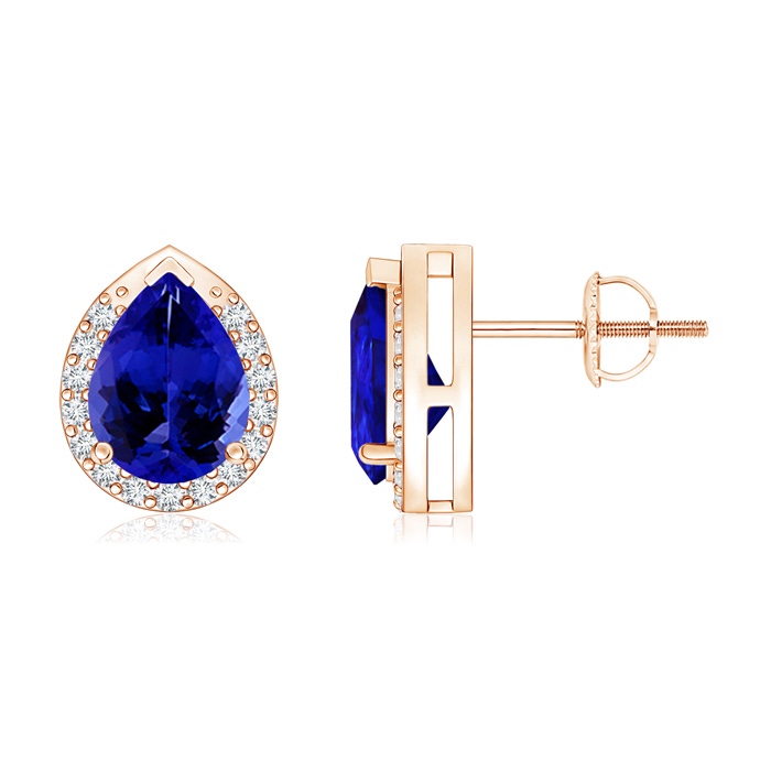 8x6mm AAAA Pear-Shaped Tanzanite Stud Earrings with Diamond Halo in Rose Gold 