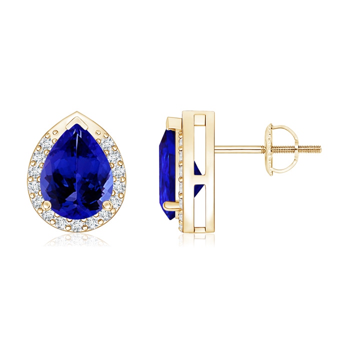 8x6mm AAAA Pear-Shaped Tanzanite Stud Earrings with Diamond Halo in Yellow Gold