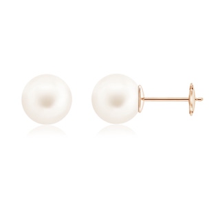 10mm AA Classic Freshwater Pearl Solitaire Studs in Rose Gold