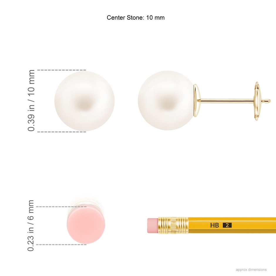 10mm AA Classic Freshwater Pearl Solitaire Studs in Yellow Gold ruler