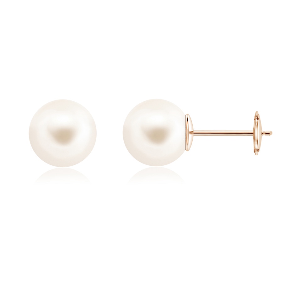 10mm AAA Classic Freshwater Pearl Solitaire Studs in Rose Gold 