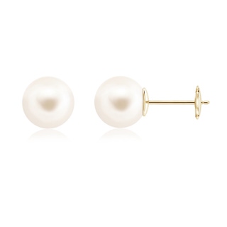 10mm AAA Classic Freshwater Pearl Solitaire Studs in Yellow Gold