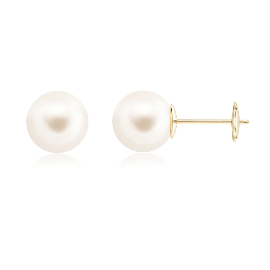 10mm AAA Classic Freshwater Pearl Solitaire Studs in Yellow Gold 