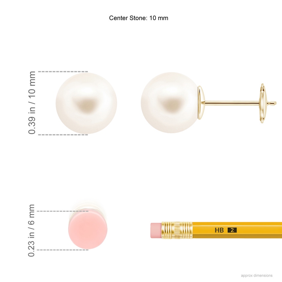 10mm AAA Classic Freshwater Pearl Solitaire Studs in Yellow Gold ruler