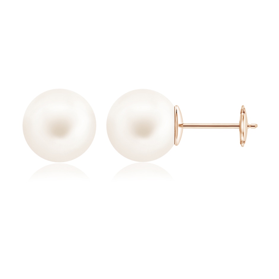 12mm AA Classic Freshwater Pearl Solitaire Studs in 9K Rose Gold 