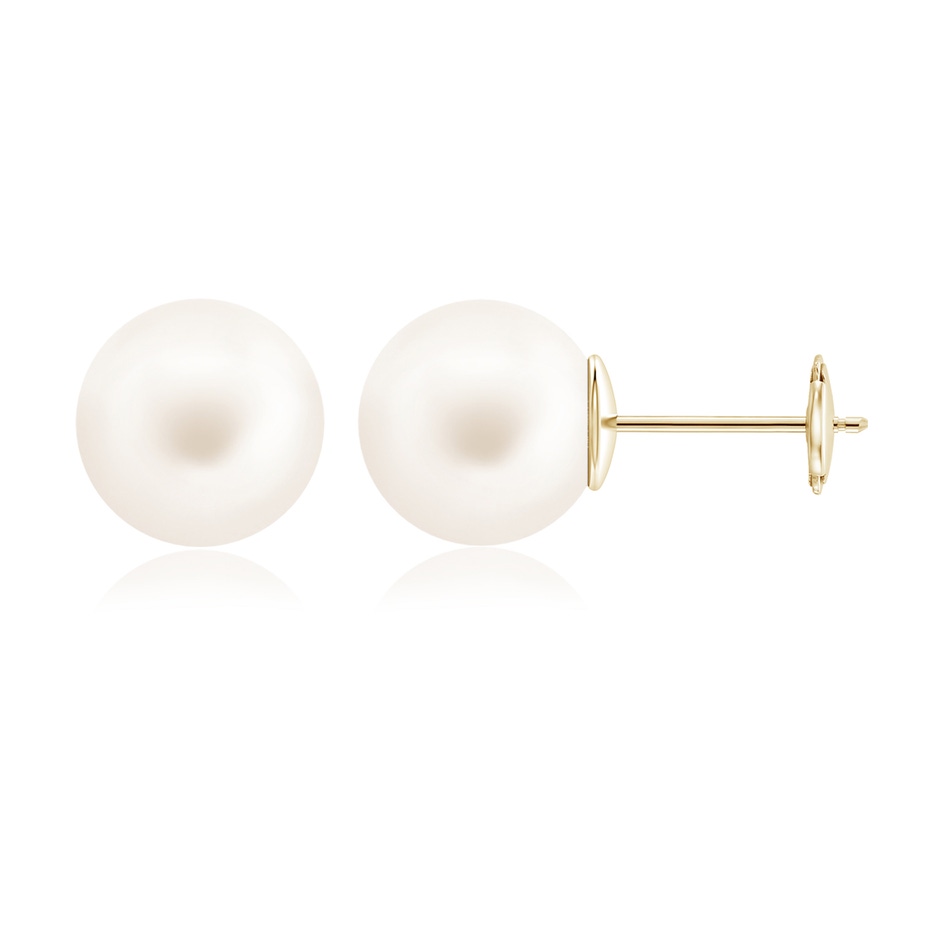12mm AA Classic Freshwater Pearl Solitaire Studs in Yellow Gold 