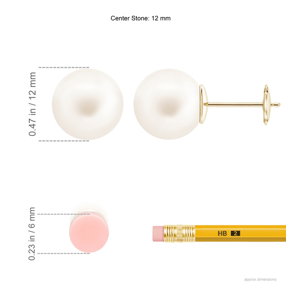 12mm AA Classic Freshwater Pearl Solitaire Studs in Yellow Gold ruler