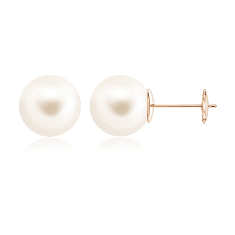 12mm AAA Classic Freshwater Pearl Solitaire Studs in Rose Gold 