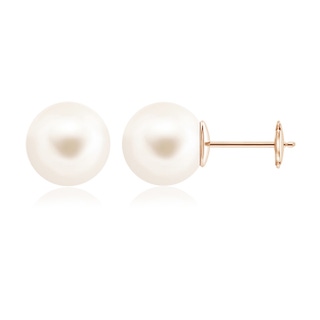 12mm AAA Classic Freshwater Pearl Solitaire Studs in Rose Gold