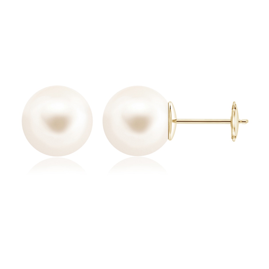 12mm AAA Classic Freshwater Pearl Solitaire Studs in Yellow Gold 