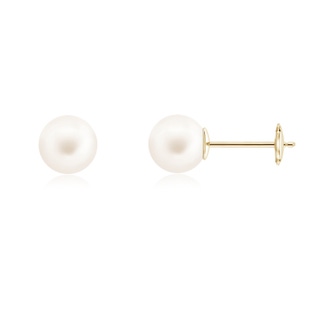 8mm AA Classic Freshwater Pearl Solitaire Studs in Yellow Gold