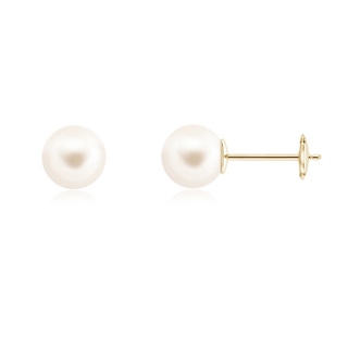 8mm AAA Classic Freshwater Pearl Solitaire Studs in Yellow Gold