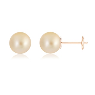 10mm AA Classic Golden South Sea Pearl Solitaire Studs in Rose Gold