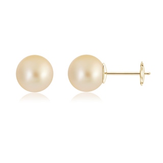 10mm AA Classic Golden South Sea Pearl Solitaire Studs in Yellow Gold
