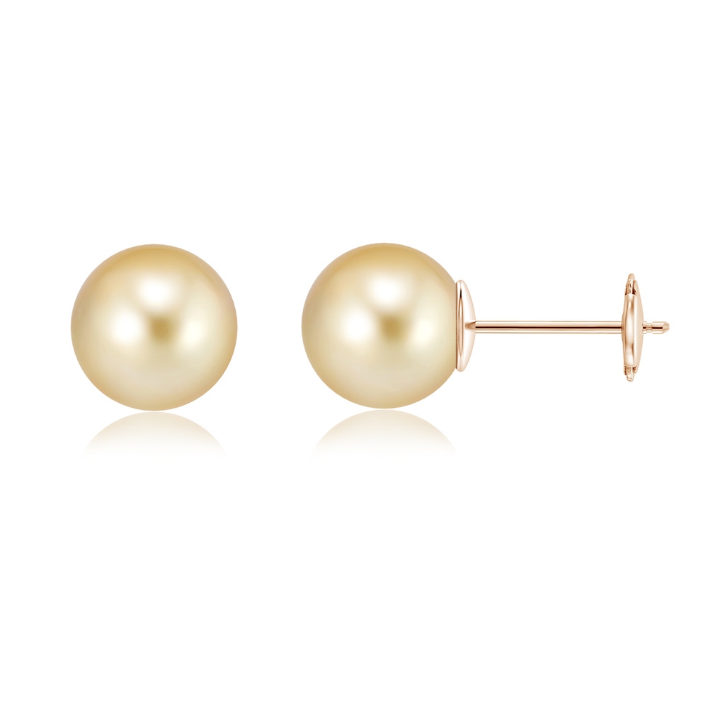 10mm AAAA Classic Golden South Sea Pearl Solitaire Studs in Rose Gold