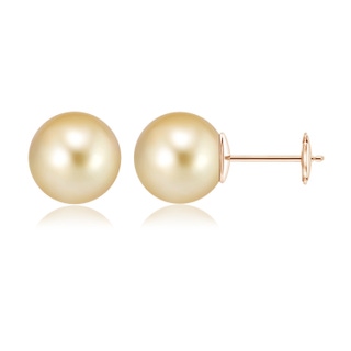 12mm AAAA Classic Golden South Sea Pearl Solitaire Studs in Rose Gold