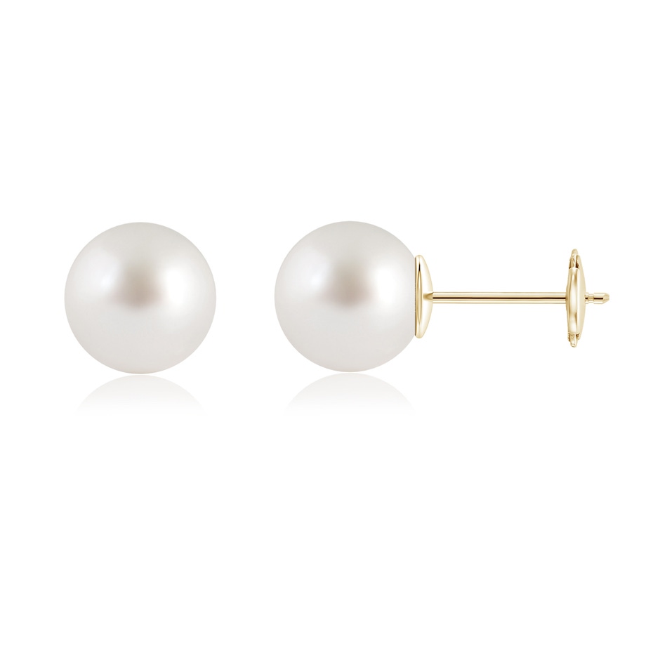 10mm AAA Classic South Sea Pearl Solitaire Studs in Yellow Gold 