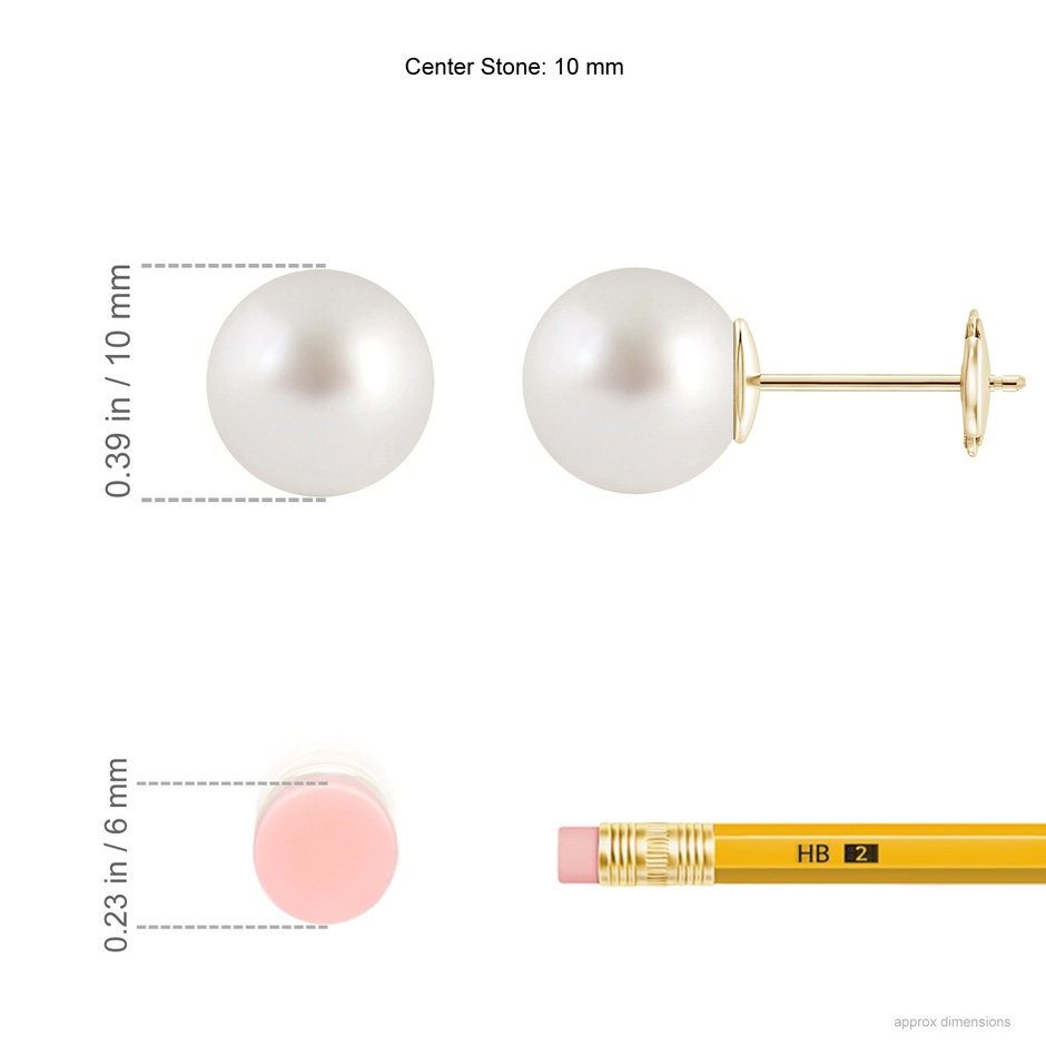 10mm AAA Classic South Sea Pearl Solitaire Studs in Yellow Gold ruler