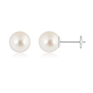 10mm AAAA Classic South Sea Pearl Solitaire Studs in 10K White Gold