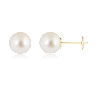 Round AAAA South Sea Cultured Pearl