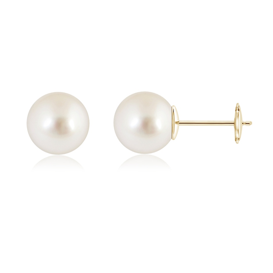 10mm AAAA Classic South Sea Pearl Solitaire Studs in Yellow Gold 