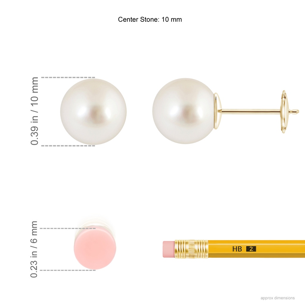10mm AAAA Classic South Sea Pearl Solitaire Studs in Yellow Gold Ruler