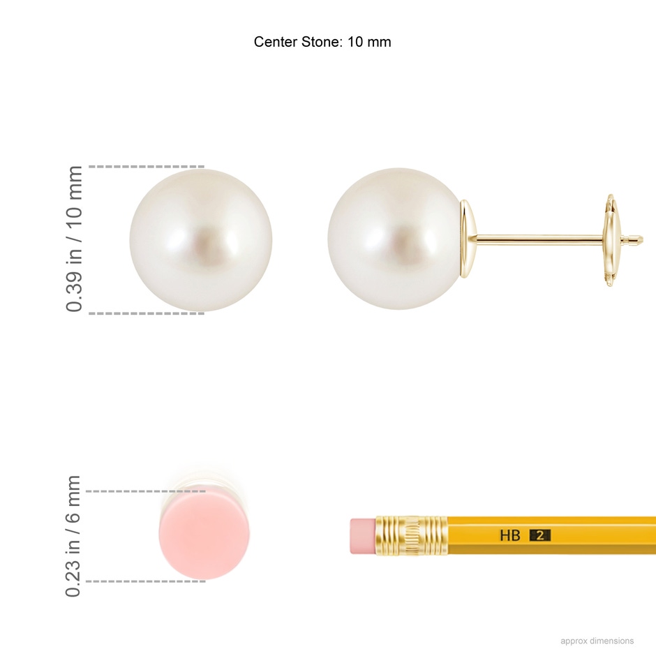 10mm AAAA Classic South Sea Pearl Solitaire Studs in Yellow Gold Ruler