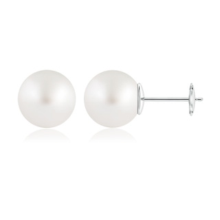 12mm AAA Classic South Sea Pearl Solitaire Studs in White Gold
