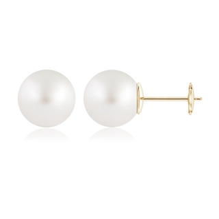 Round AAA South Sea Cultured Pearl