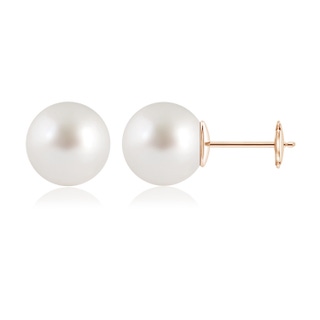 12mm AAAA Classic South Sea Pearl Solitaire Studs in Rose Gold