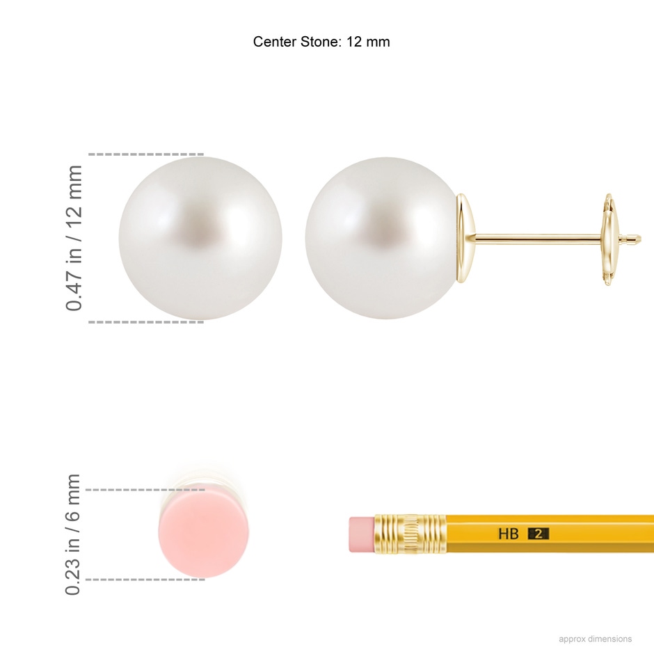 12mm AAAA Classic South Sea Pearl Solitaire Studs in Yellow Gold Ruler