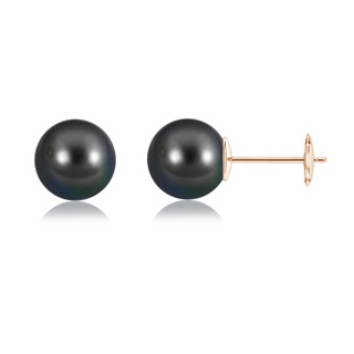 10mm AA Classic Tahitian Pearl Solitaire Studs in Rose Gold