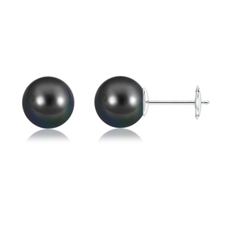 10mm AA Classic Tahitian Pearl Solitaire Studs in White Gold