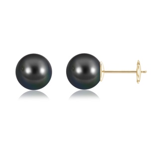 10mm AA Classic Tahitian Pearl Solitaire Studs in Yellow Gold