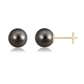 10mm AAA Classic Tahitian Pearl Solitaire Studs in Yellow Gold