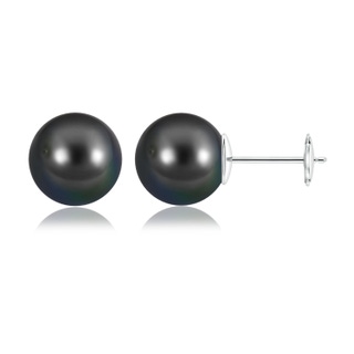 Round AA Tahitian Cultured Pearl