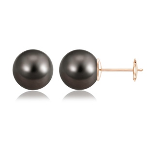 12mm AAA Classic Tahitian Pearl Solitaire Studs in 9K Rose Gold