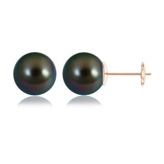 12mm AAAA Classic Tahitian Pearl Solitaire Studs in 10K Rose Gold