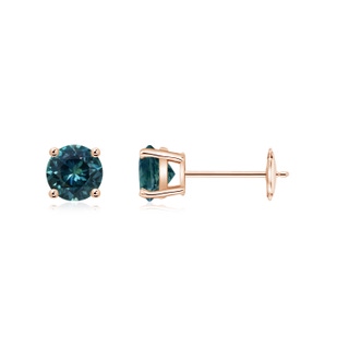 5mm AAA Round Teal Montana Sapphire Stud Earrings in 9K Rose Gold