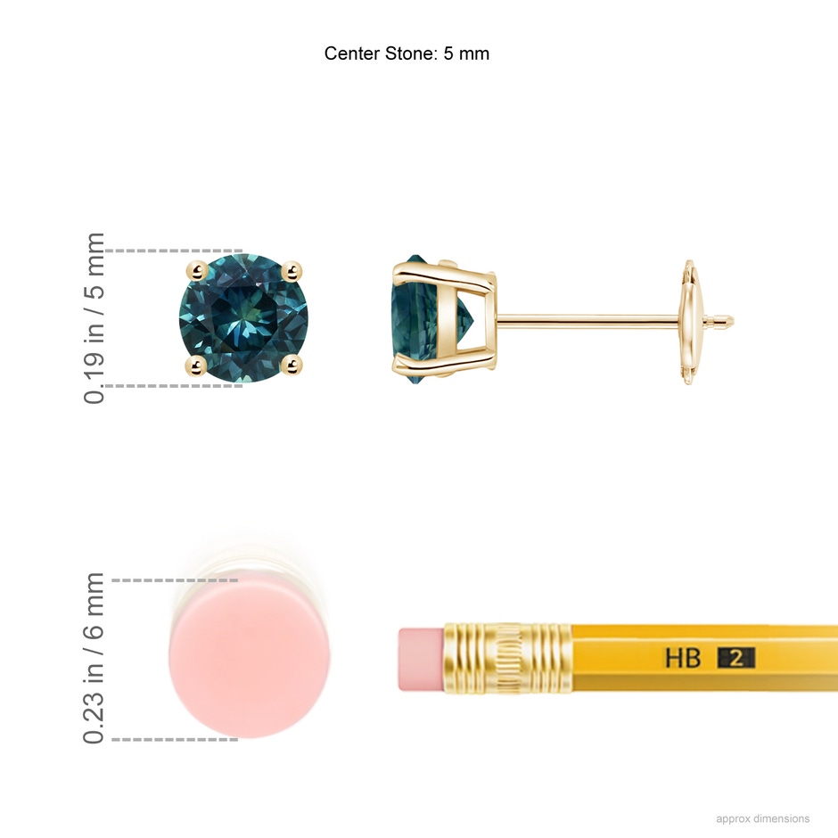 5mm AAA Round Teal Montana Sapphire Stud Earrings in Yellow Gold ruler