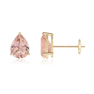 7x5mm AAA Pear-Shaped Morganite Stud Earrings in Yellow Gold